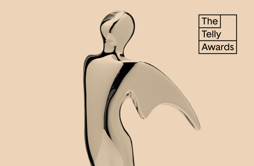 Bronze Telly Award Image